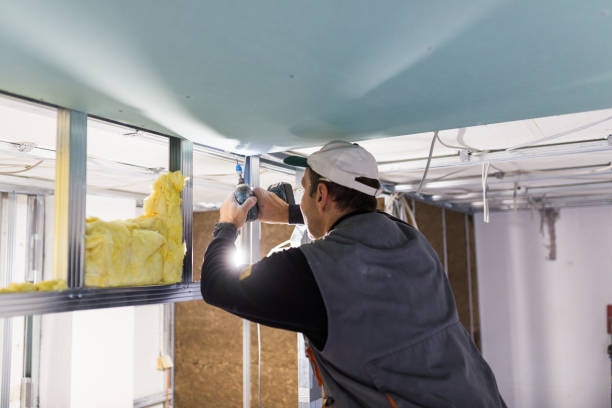 Best Local Insulation Services  in Arbuckle, CA