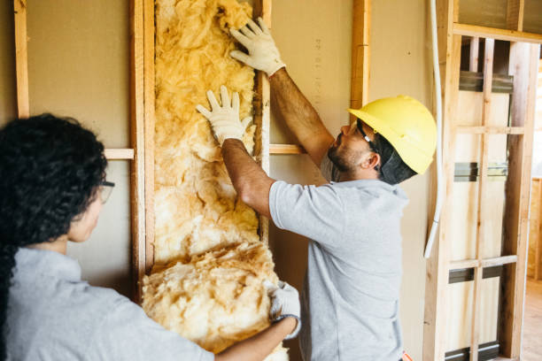 Best Insulation Contractors for Homes  in Arbuckle, CA