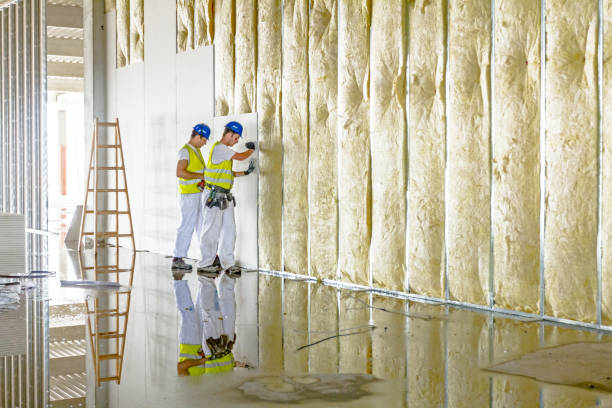 Best Insulation Contractor Near Me  in Arbuckle, CA